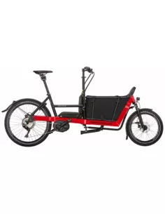 Riese & Müller Packster 40 touring